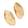 Stainless Steel Resin Amber Earrings Translucent Drop Hoops Translucent  Women's Accessories