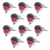 Bird – как на картинке