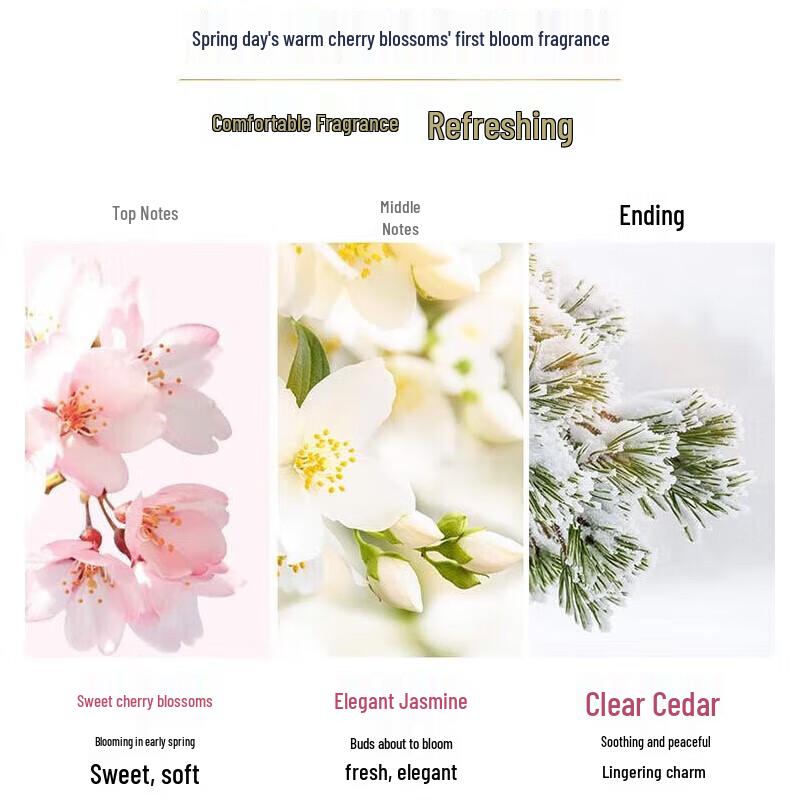 Dove Foaming Body Wash Set