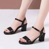 Sandalias Femininas Women Cute Sweet Light Weight Black Peep Toe Square Heel Shoes Lady Classic Office Career Heel Shoes Ga61