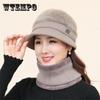 Winter Warm Earmuffs Wool Beanies Cap Middle-aged Winter Lady's Rabbit Fur Plus Velvet Thick Beret Mother's Hat