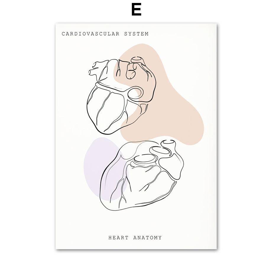 Минималистичный Красочный Анатомический Линия, медицинский плакат и принты, настенное искусство, ухо, гортань, сердце, холст, картина, доктор, подарок, декор для клиники
