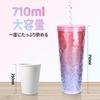 Starbucks International Limited Holiday Straw Tumbler Winter Snowflake Cup 710ml Gradient Purple