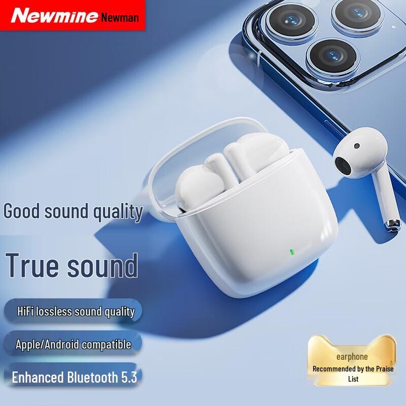 Newman LY15 True Wireless Bluetooth Earbuds