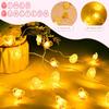 Сказочные огни на открытом воздухе, Пасха, 2 м, 20 светодиодных цыплят, пасхальные яйца, микро-сказочные огни, таймер на батарейках, теплый белый цвет, пасхальное украшение для дома, декор стола