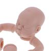19-дюймовый симуляционный неокрашенный набор кукол-реборнов, набор деталей формы для недоношенного ребенка