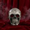Halloween Party Supplies Resin Skull Figurine, Realistic Human Head Model, Spooky Holiday Gift for Horror Fans Statue Indoor Fireplace Kitchen Gothic