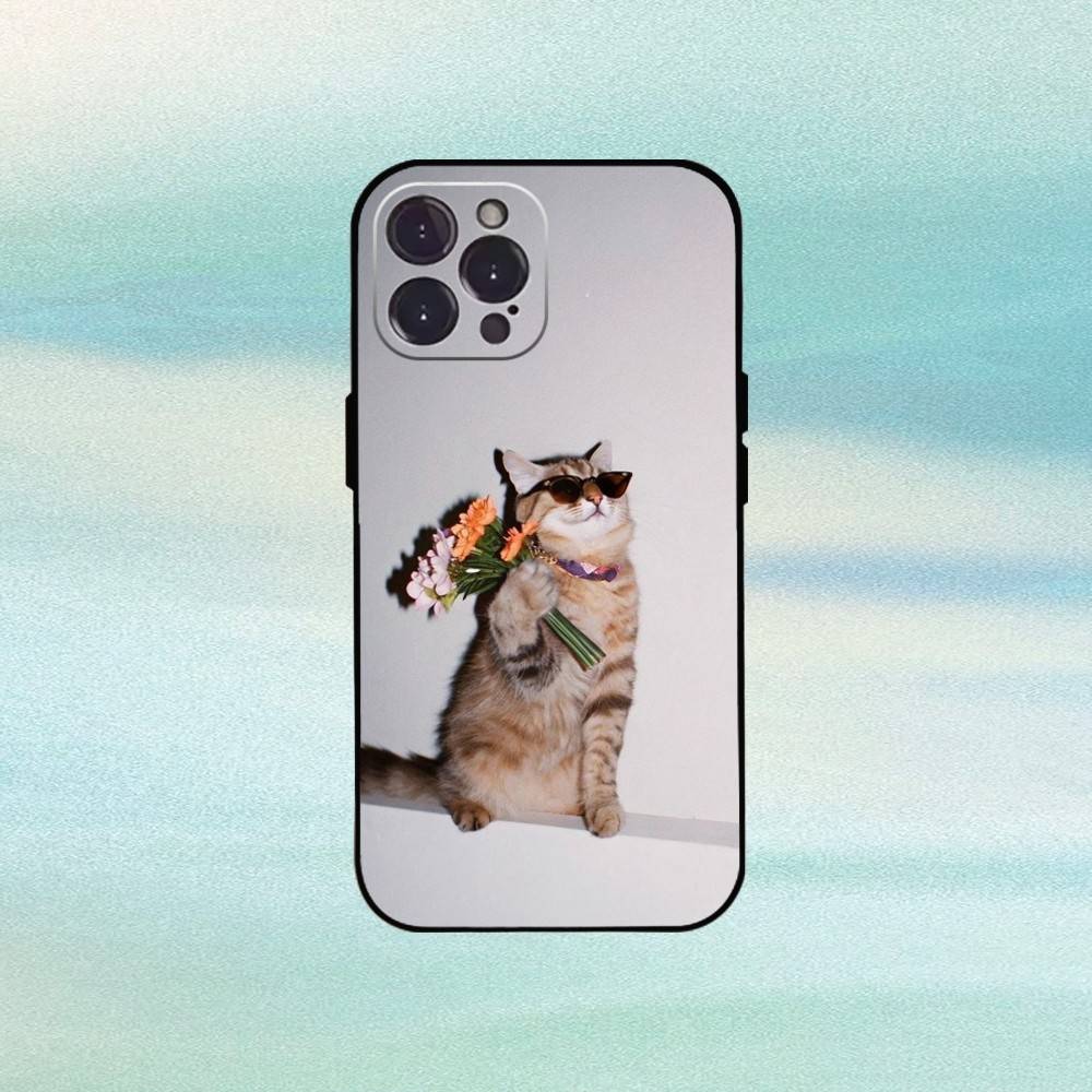 Крутой Кот Милый Чехол Для Телефона Для iPhone17,16,15,14,13,12,Plus,Pro Max, 5G Другие Мягкий Черный Чехол