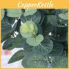 Stem Leaf Eucalyptus For Wedding Centerpieces Home Decor Photography Props
