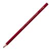 Sakura Crepas Coupy Colored Pencil PFY Rose Red Brown 10 Pieces 10P#13