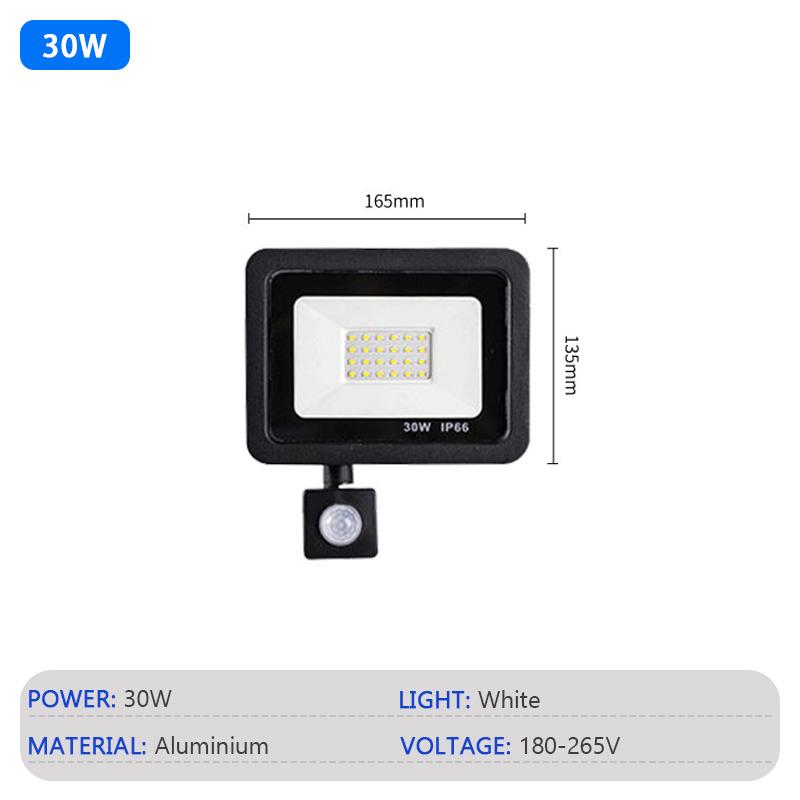 LED Flood Light PIR Motion Sensor IP66 Waterproof Spotlight Wall Lamp 20W 30W 50W 100W AC220V Street Outdoor Floodlight