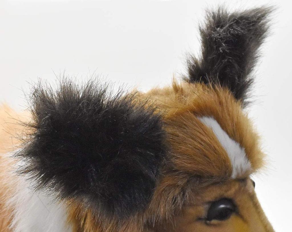 BH4219 HANSA Shetland Sheepdog 40