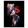 Deceased Kiss Harley Quinn Framed Poster