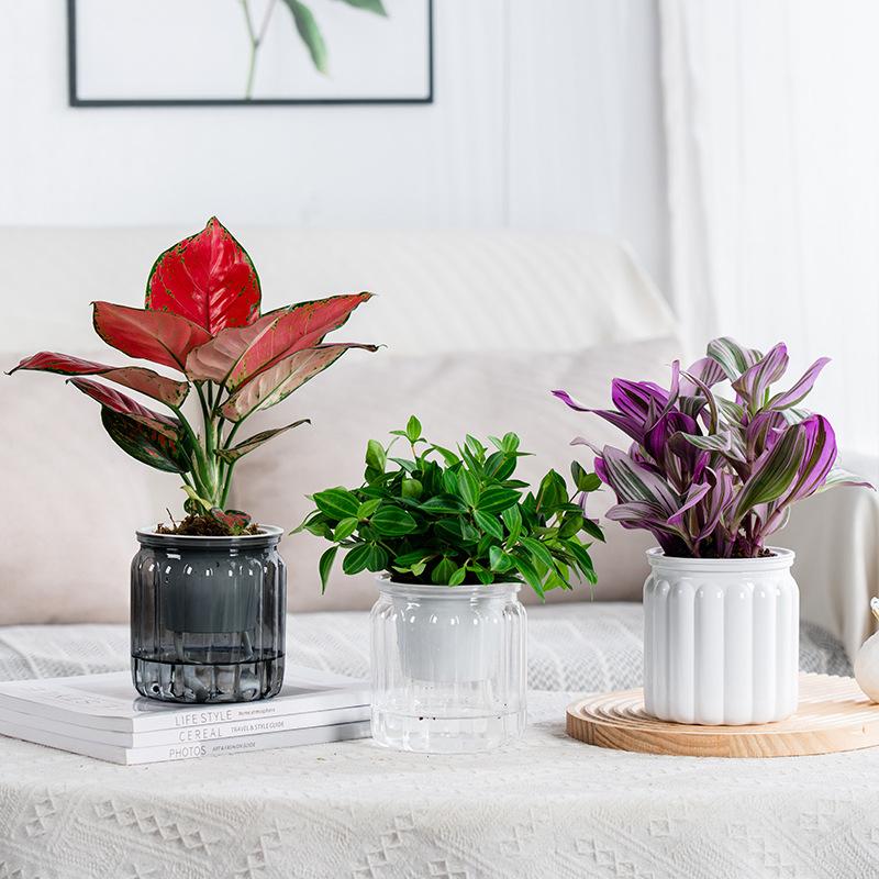 Elegant Self Watering Planter Translucent Stylish Water-saving Desktop Planter for Garden Enthusiast Lover Gift Transparent