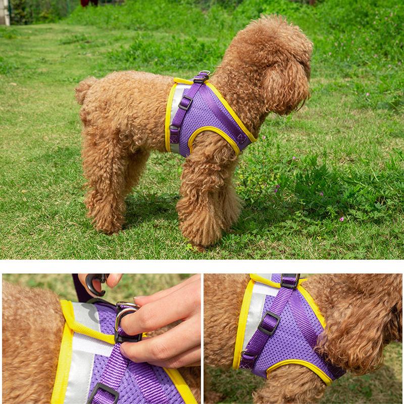 Dog Harness Vest Set for Small Medium Dog Harness Leash Puppy Cat Vest Harness Puppy Pet Kitten Leads Reflective Cats Collar