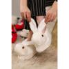 Женские домашние туфли E White Rabbit 111171