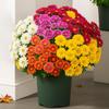 Faux Mums Realistic Artificial Fall Flowers UV Resistant Fake Flower Bunch Faux Chrysanthemums for Home Farmhouse Autumn Indoor Outdoor Decoration