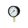 Nagano Instrument Sealed Pressure Gauge Vertical Type Minimum Scale A-frame 100 0.050 BE10-131-2.5MP