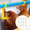12Pcs Chicken Waterer Tee Fittings Easy To Install, Spare Parts, Durability 1/2" Accessories for