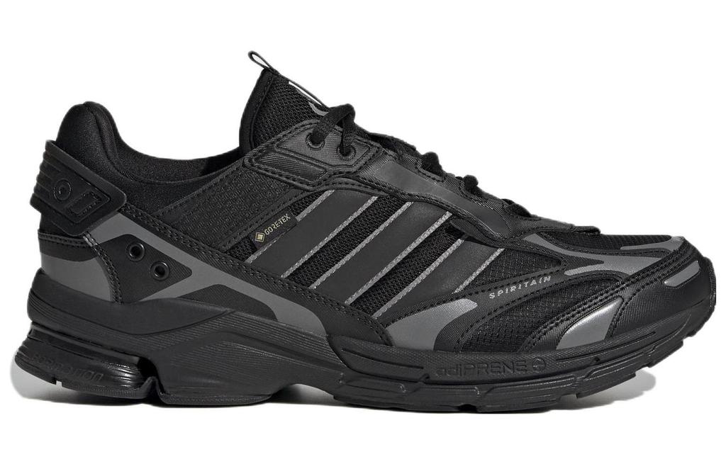 adidas Spiritain 2000 GORE-TEX 'Черный Темно-серый' HP6716