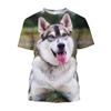 Russia Siberian Husky Printed T-shirts Cute Dog Casual Graphic T Shirt For Men Harajuku Fashion Clothing T-shirt
