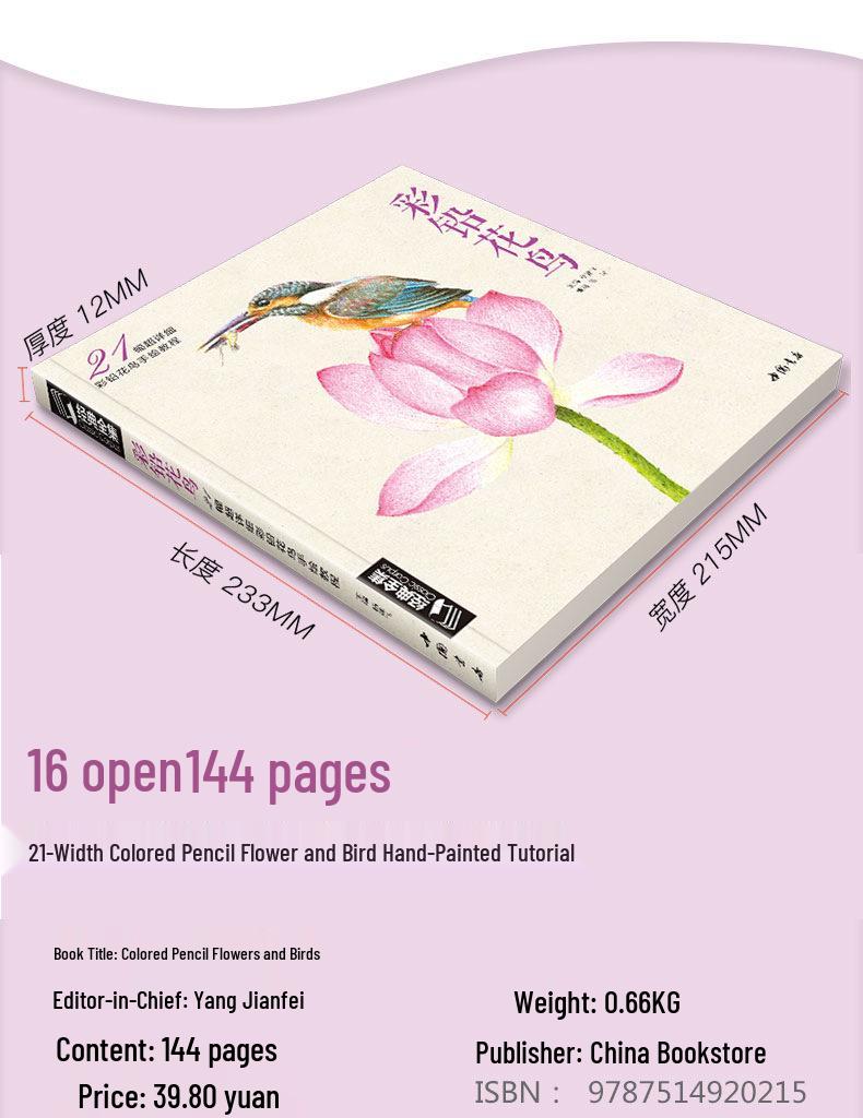 Классический набор цветных карандашей: 6 книг - Птицы, Цветы, Фигуры, Суккуленты, Пейзажи, Животные для начинающих