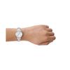Skagen Anita Lille Watch SKW3126 Women's Silver