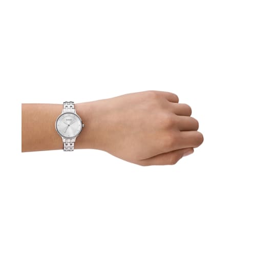 Skagen Anita Lille Watch SKW3126 Women's Silver