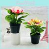 Artificial Peony Flower Pot With Plastic And Silk Material For Home Decor And Living Room Display