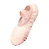 Girls' Strapless Non-Slip Soft Sole Ballet and Modern Dance Shoes