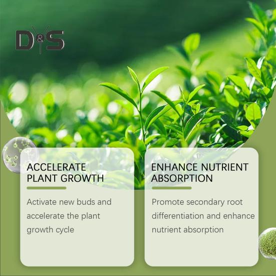 Порошковый активатор почвы Удобрение, богатое питательными веществами, стимулятор роста растений Порошок для активации почвы для почвенной смеси Рассада Компост Растения для помещений и улицы