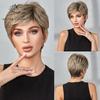 Synthetic Pixie Wig Ombre Brown Blonde Wigs For Women With Side Bangs Hairs High Temperature Fiber Straight Hair