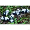 Miniature Panda Ornament Micro Landscape Fairy Garden Pot Terrarium Bonsai dollhouse Mini