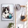 5D DIY животные алмазная живопись хаски фотографии полная алмазная вышивка горный хрусталь мозаика набор для вышивки крестом украшение мебели