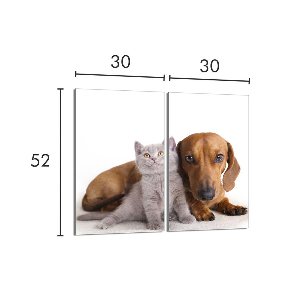 Стеклянная защитная панель для плиты 2x30x52 Животные