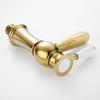 Basin Mixer Tap Gold Bathroom Sink Facuet Single Handle Hot and Cold Water Hoses Modern Bathroom Washroom Cloakroom Faucet