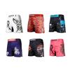 MMA UFC Training Shorts for Running, Brazilian Jiu-Jitsu, Fitness, Sanda, and Mixed Martial Arts