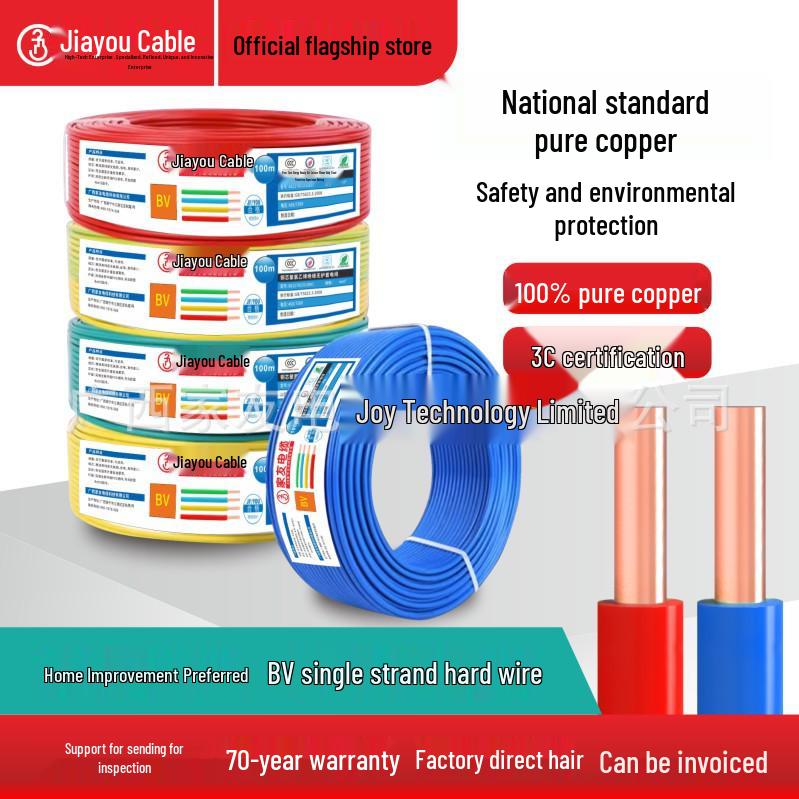 JiaYou Pure Copper BV Single Core Electric Wire, 100m - Hard Wire for Home, BV 1.5/2.5/4/6 sq mm