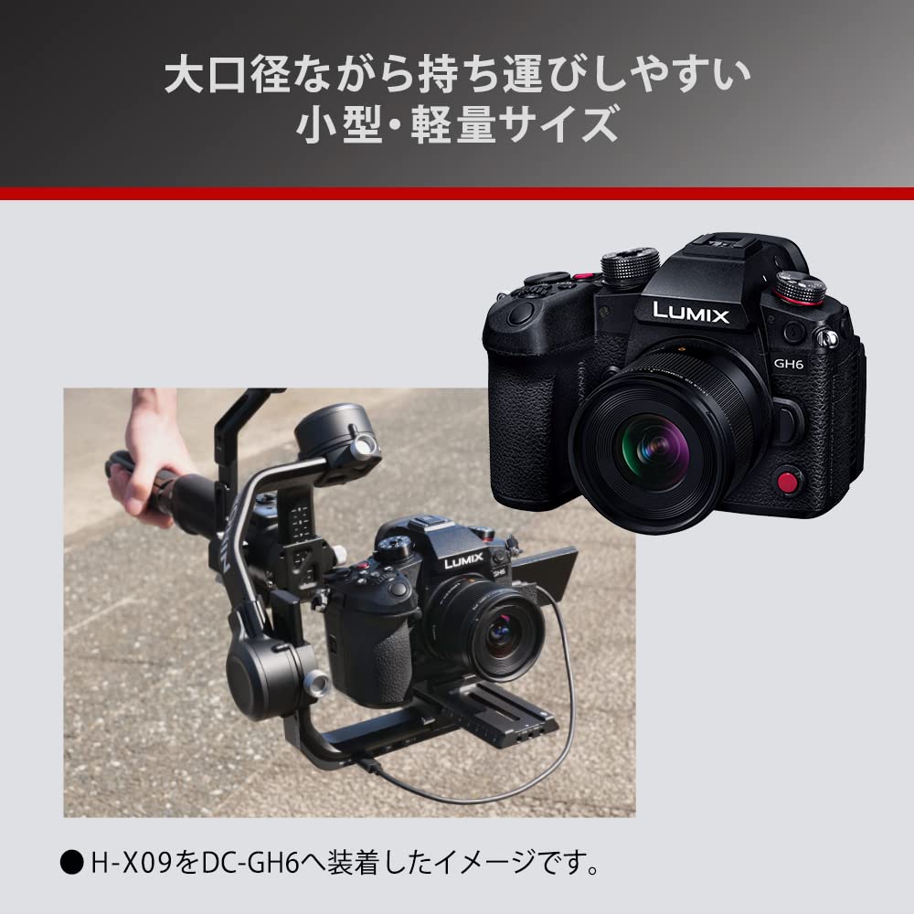 Panasonic Широкоугольный однофокусный объектив Panasonic LUMIX для цифровой однообъективной камеры H-X09