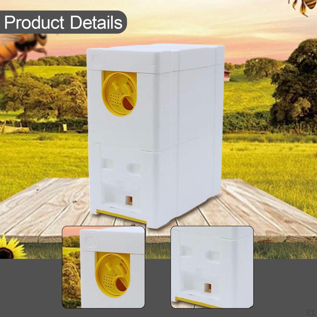 Queen Bee Breeding Box Hive Supplies Easy To Use Foam Rearing for Summer Late