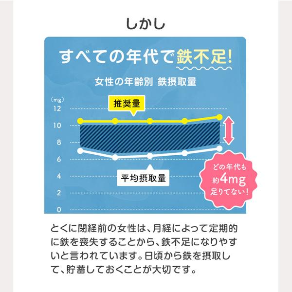Упаковка из 3 таблеток FANCL с железом и фолиевой кислотой, запас на 90 дней s2085