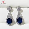Новый дизайн, женские висячие серьги, роскошные синие/белые циркониевые темпераментные аксессуары для ушей, ювелирные изделия высокого качества
