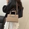 Today's Popular Atmospheric Fashion Handbag Spring New Texture Niche Shoulder Messenger Bag Commuter Women's Bag
