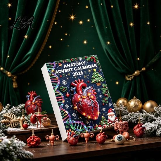 Human Organ Ornaments 2026 Anatomy Advent Calendar, 24-Day Body Ornament Set, Anatomical Creative Science Decor Hanging for Christmas Tree,