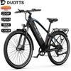 Electric Bike DUOTTS C29 Max 29" 250W Motor City Electric Bicycle 48V 18AH Max Range 120Km Load 150Kg Black