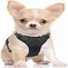 Dog Harness Small Dog No Pull Pet Harness with 2 Leash Clips, Adjustable Soft Padded Pet Vest Harness, Reflective No-Choke with Easy Control Handle Fo