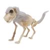    Standing Dog Skeleton Halloween Prop for   Decor  