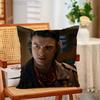 JJoe Keery Singer Funny Pillow Case Antidustmite Pillowcase Invisible Zipper Silky Short Plush Sofa Cushion Cover