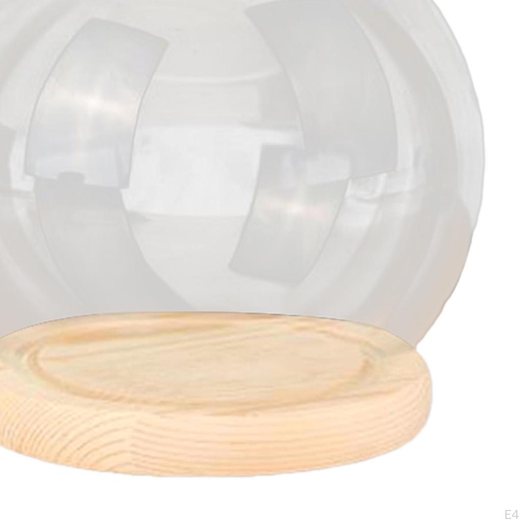 Прозрачная стеклянная купольная банка-шар с деревянной подставкой