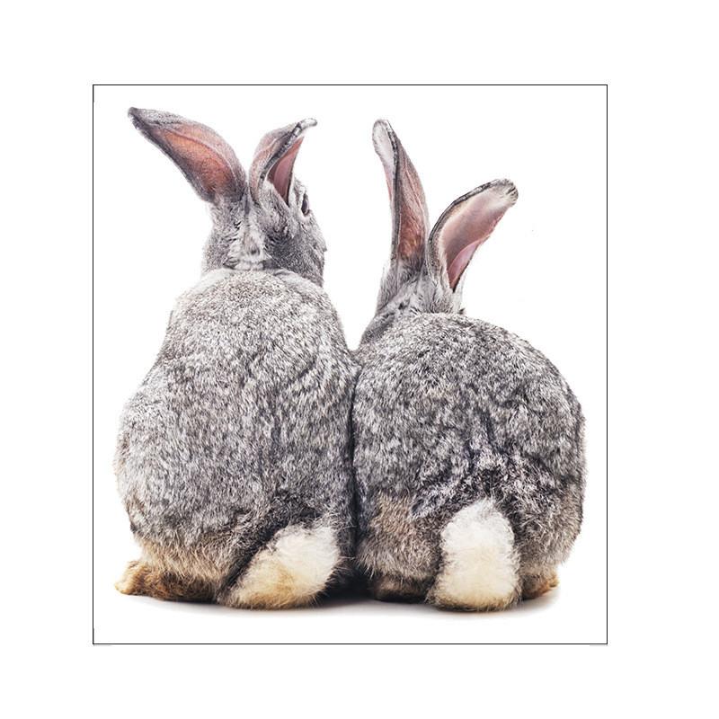 Two Cute Rabbits Wall Stickers Children's Kids Room Home Decoration Removable Wallpaper Living Room Bedroom Mural Bunny Decals 2025